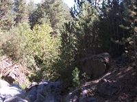 rrente Quarantore-20110911 051